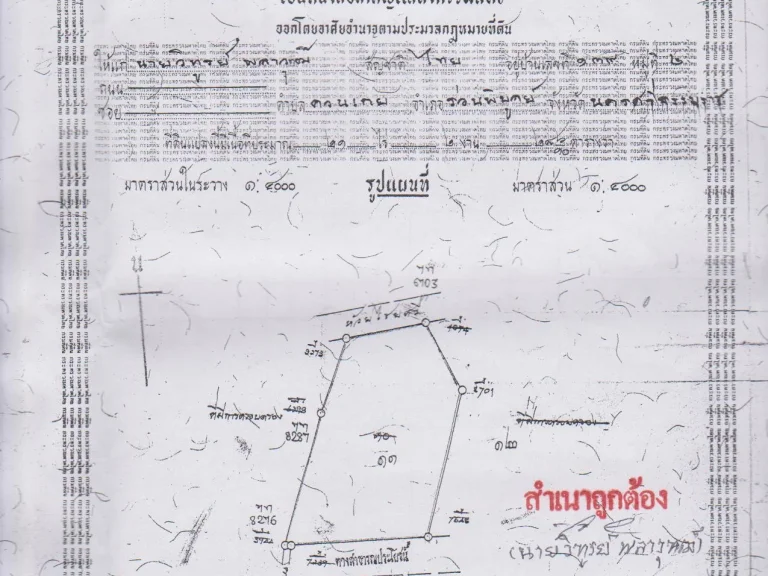 ขายสวนยางพารา 21ไร่ 2 งาน 285 ตารางวา อยู่ใกล้มหาวิทยาลัยราชมงคลศรีวิชัยไสใหญ่ อทุ่งสง จนครศรีฯ