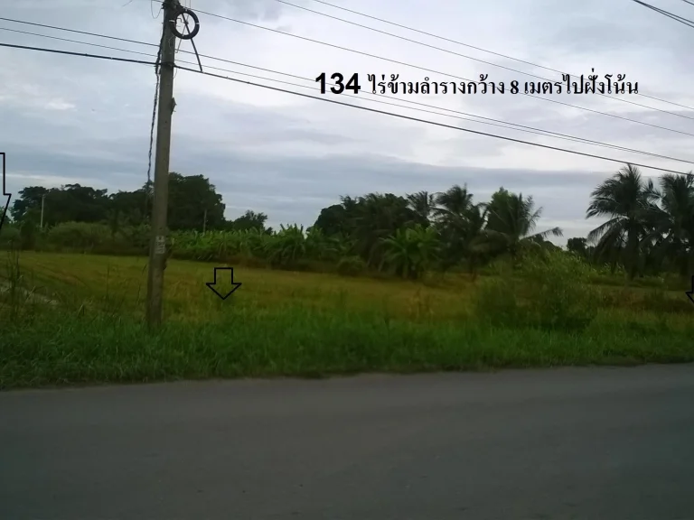 ขายที่ดิน 134 ไร่ขายไร่ละ 18 ล้าน ติดถนนร่วมพัฒนา-ขุมทอง-ลำต้อยติ่ง ขนส่งพื้นที่4 เส้นทางลัดสุวรรณภูมิ เขตหนองจอก ก