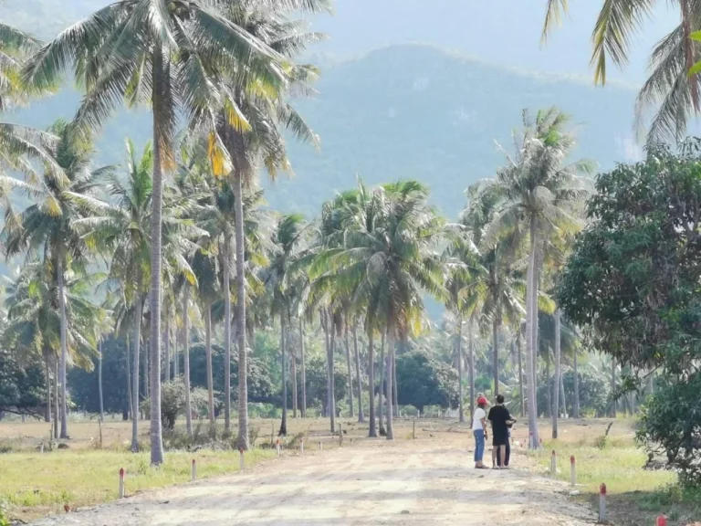 ขายที่ดินใกล้หาดสามร้อยยอด100ตรว