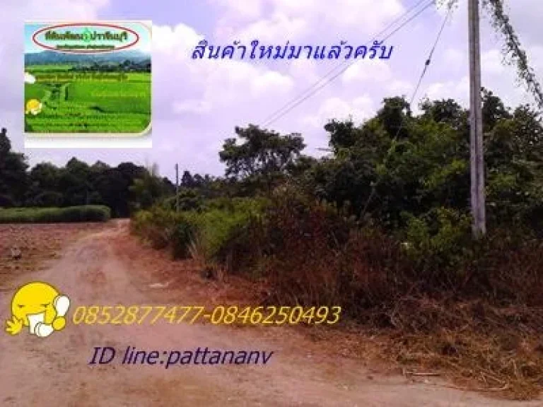 ที่ดินสวนโฉนด 5-2-17 ไร่ไร่ละ 149999 บาท ตวังดาล อกบินทร์บุรี จปราจีนบุรีไฟฟ้าประปา ทำที่อยู่อาศัย ทำสวนเกษรพอเพียง