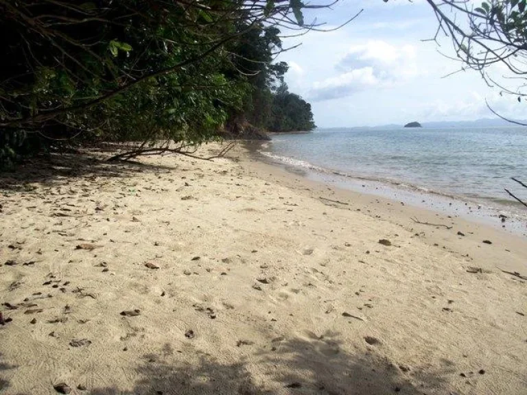 ขายที่ดินเกาะสิเหร่ ติดทะเล ภูเก็ต พร้อมหาดส่วนตัว 320 ไร่ฯละ 18 ล้านบาท