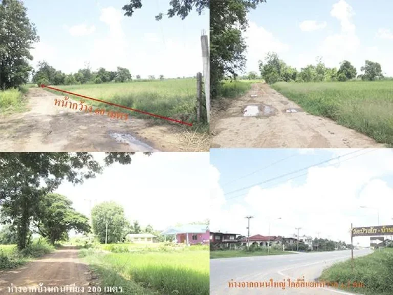 ขายที่ดิน 11 ไร่ ติดถนนใกล้วัดป่าสักและสำนักงาน กสทชใกล้สี่แยกหัวรอ 2 กม