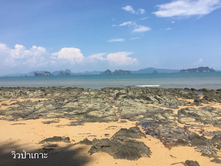 ขายที่ดินติดชายหาดและเนินเขา ซีวิว 24ไร่