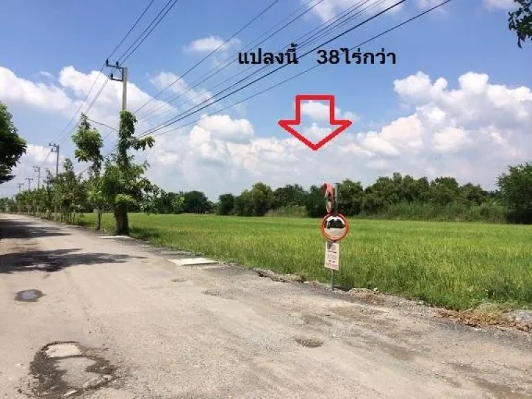 ขายที่ดิน 38 ไร่กว่า ซบางปะกง-ฉะเชิงเทรา 24 อเมืองฉะเชิงเทรา จฉะเชิงเทรา เหมาะทำโครงการบ้านจัดสรร