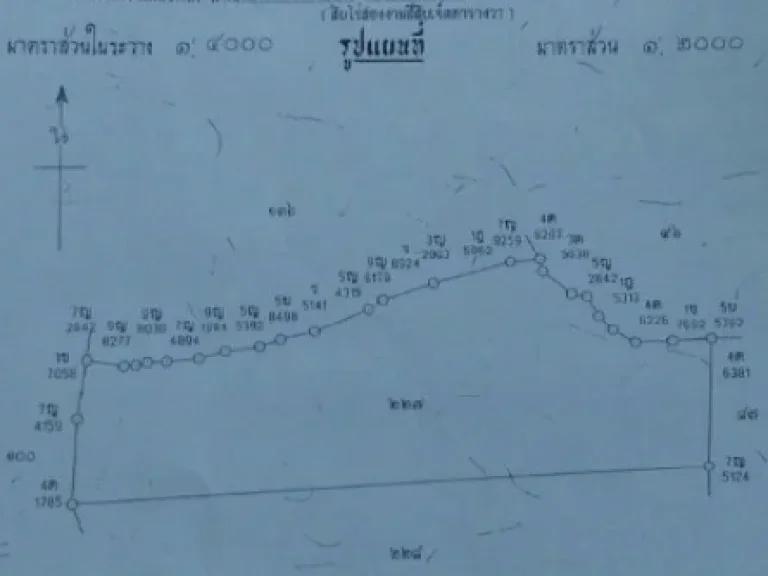 ขายด่วน ที่ 10 ไร่ มีโฉนด เลขที่โฉนด 10931