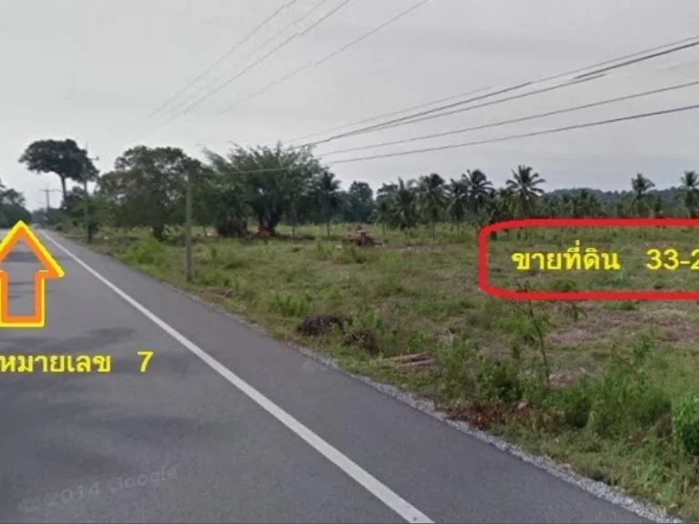 ขายที่ดิน 33 ไร่ ติดถนนสายหนองเลง-โค้งดารา