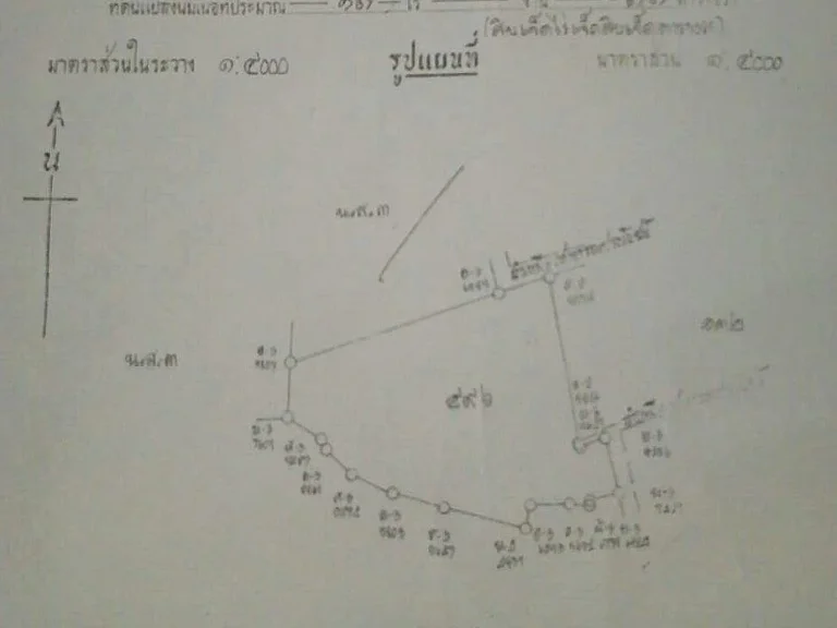 ขายที่นาแปลงสวยทำเลธุรกิจ เนื้อที่ 17 ไร่ 77 ตารางวา ตร้องวัวแดง อสันกำแพง จ เชียงใหม่