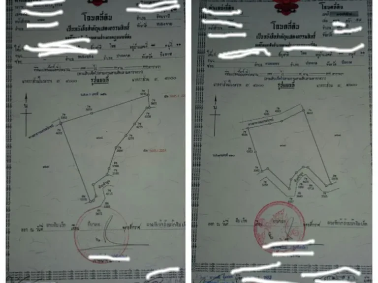 ขายที่ดินสวนปาล์ม