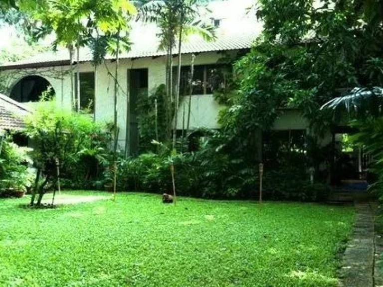 A House in Private compound on Sukhumvit area