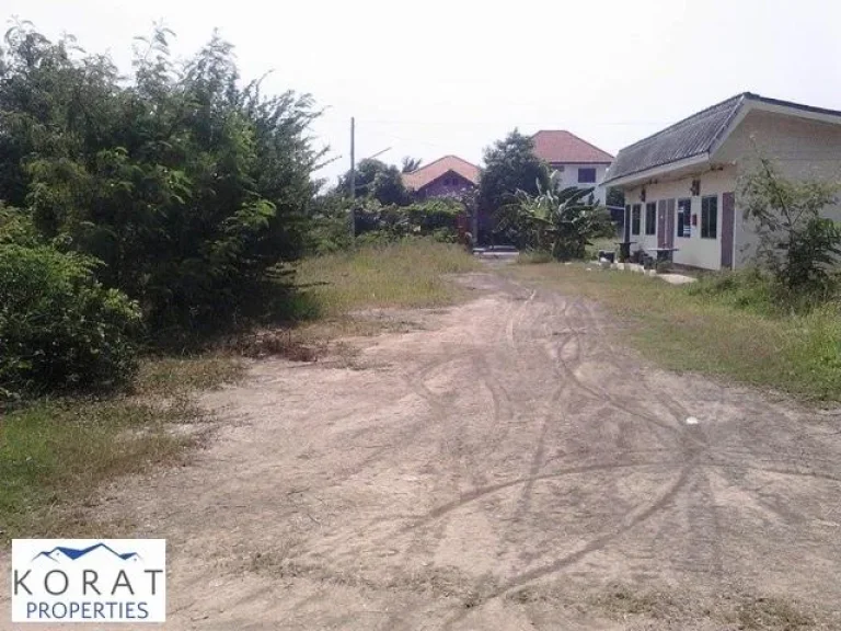 ขายที่ดินติดถนนสาธารณะ Land for Sale