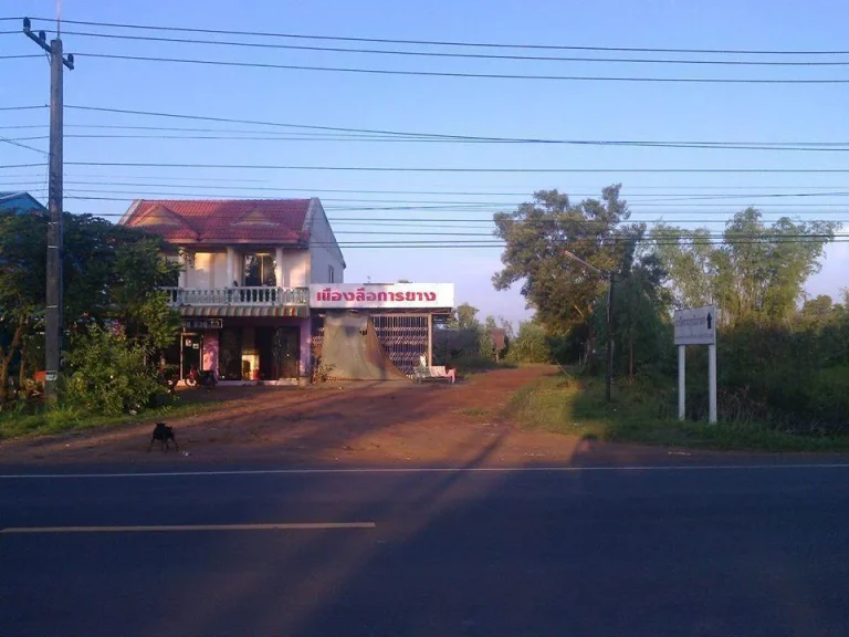 ขายที่ ติดทางหลวง ตรงข้ามกับเทศบาลลืออำนาจ