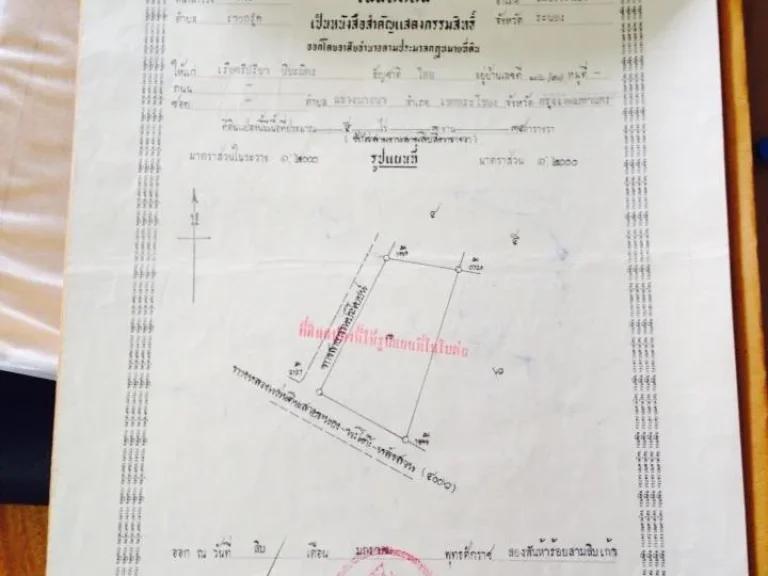 ขายที่ดินติดถนนไปพะโต๊ะใกล้สำนักงานป่าไม้ราชกรูด