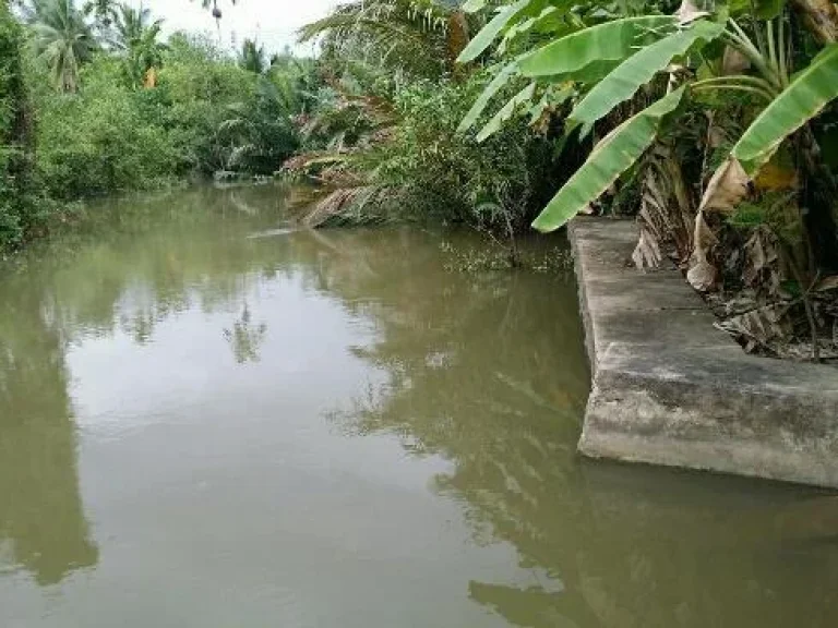 ที่ดินสำหรับผู้รักธรรมชาติและมีอิสระทางการเงิน