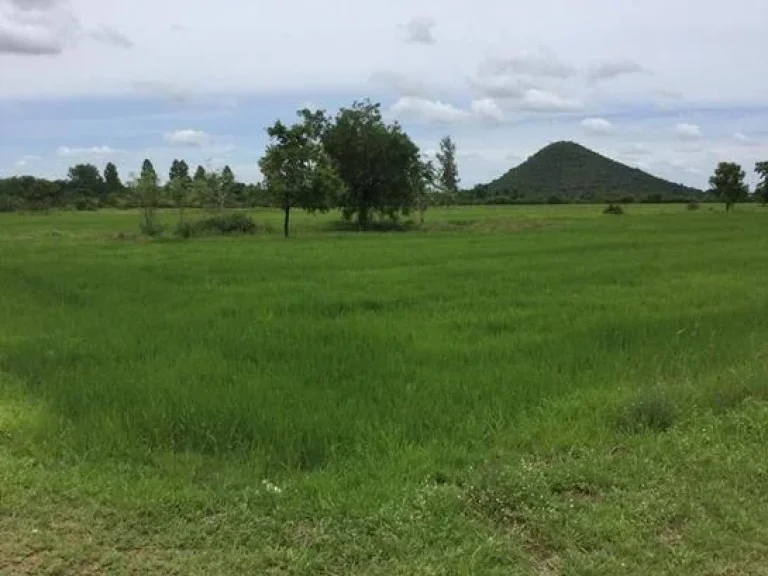 ขายที่ดิน ทำเลดี ตหัวเขา อเดิมบางนางบวช จสุพรรณบุรี