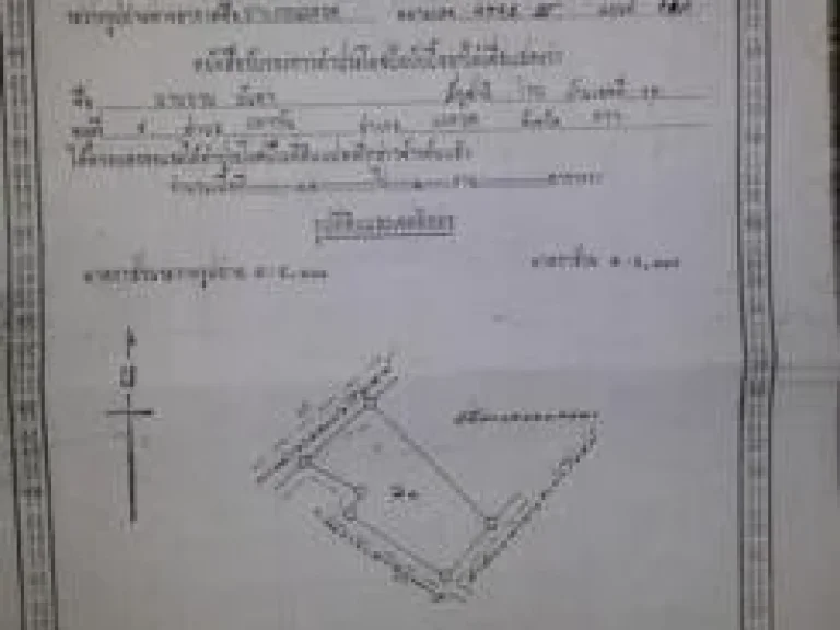 ขายที่ดินเปล่า 135 ไร่