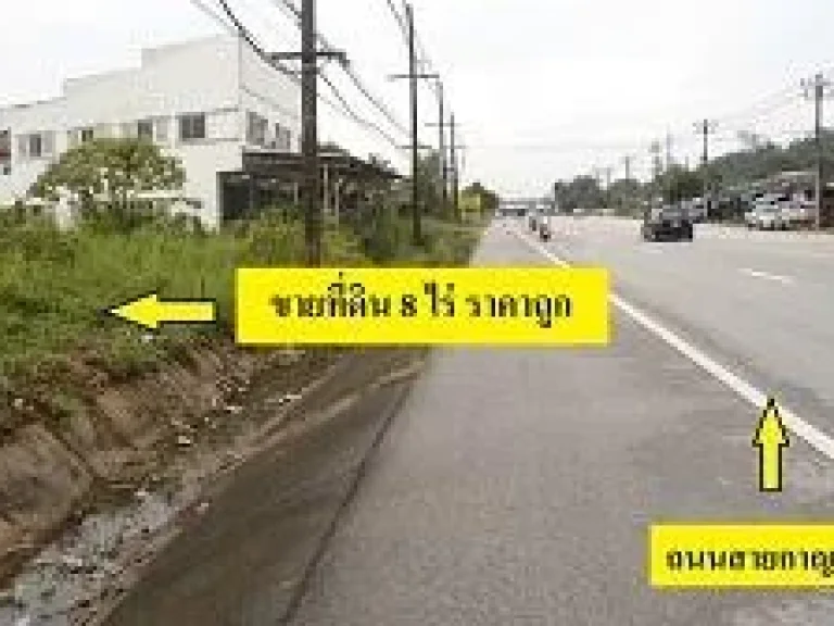 ขายที่ดิน 8 ไร่ ติดสายกาญจนนิช หน้ากว้าง 30 ม ท่าข้าม