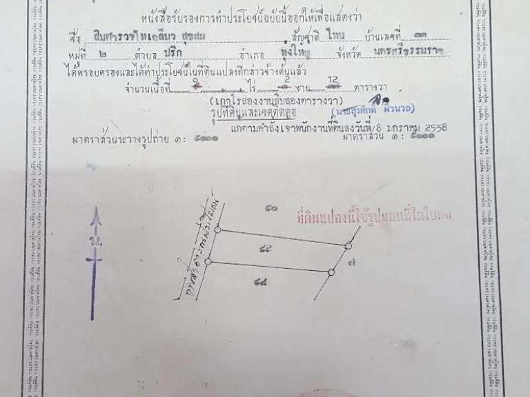 ขายที่ดินสวนปาล์ม 9 ไร่