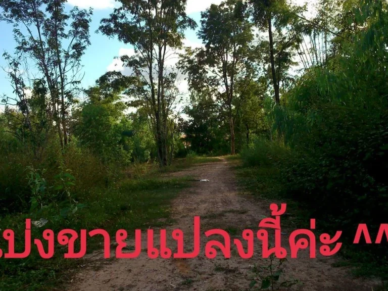 ที่ดินเเบ่งขาย