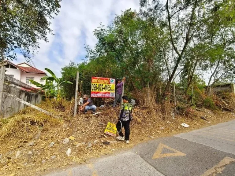 ขายที่ดินสุขาภิบาล 5 ถมแล้วติดถนนคอนกรีตสาธารณะสาธารณูปโภคคร