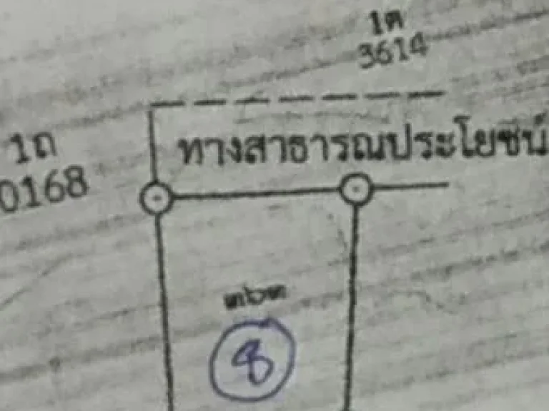 ขายที่ดินเนื้อที่ 1 งาน 96 ตารางวาราคาขาย 500000 บาท