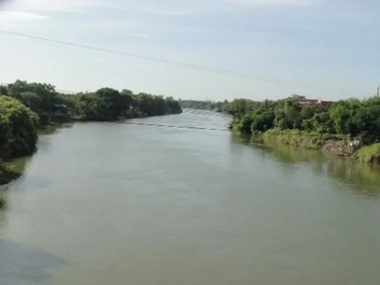 ขายให้เช่า ที่ดินติดแม่น้ำเจ้าพระยา ใกล้วัดท่าการ้อง อยุธยา