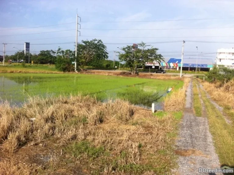 ขายด่วน ที่ดินติดถนน สุพรรณบุรี