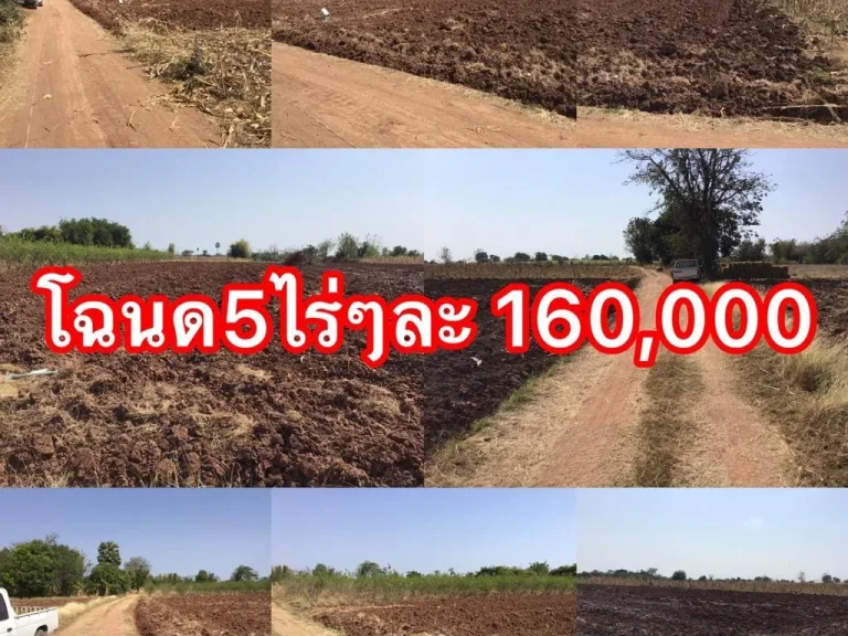 ขายโฉนดที่ดิน 5 ไร่ๆละ 160000