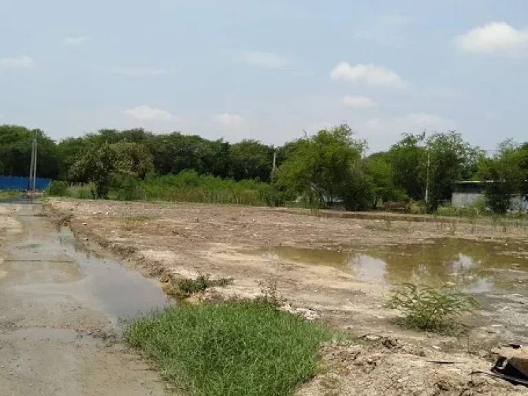 ขายที่ดิน ตแพรกษา ซอยสุดใจ อเมือง จสมุทรปราการ ถมแล้ว ประกอบกิจการได้เลย