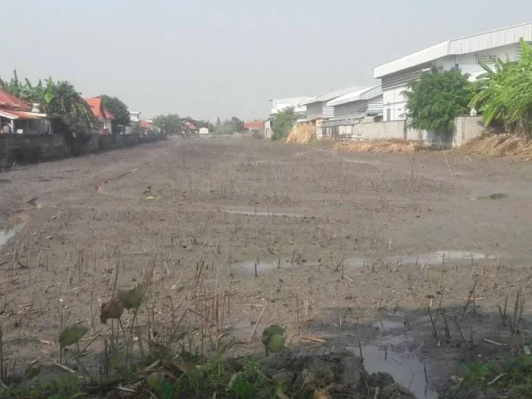 ที่ดินติดถนนเลียบคลองพระอุดม ลาดหลุมแก้ว จปทุมธานี