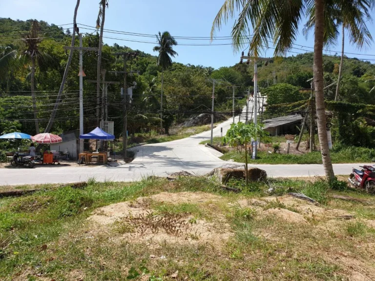 ขาย ที่ดิน ขนาด 3 ไร่ อำเภอเกาะพงัน จังหวัดสุราษฎร์ธานี