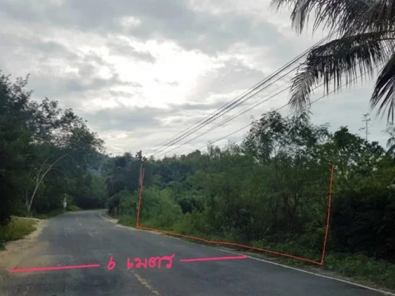 ขาย ที่ดินเปล่า 1 ไร่ ถนน กาญจนวนิช หาดใหญ่ สงขลา