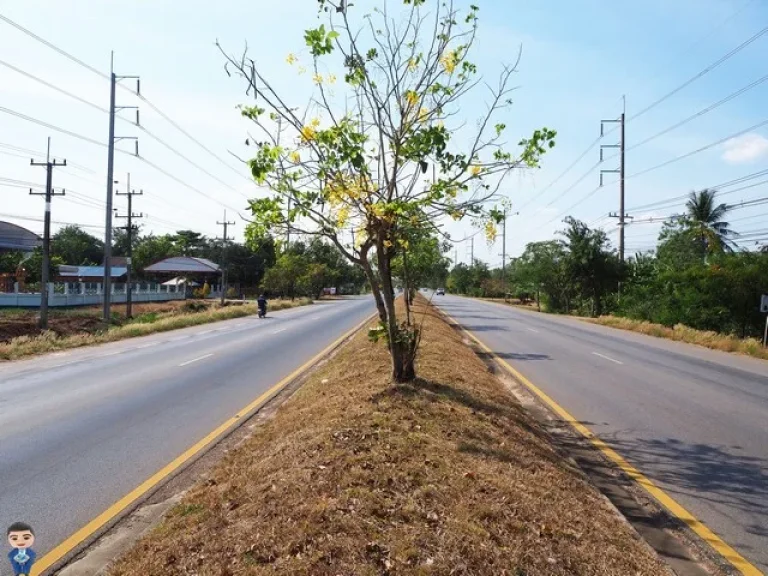 ที่ดินถมแล้ว ติดถนนหน้ากว้าง 80 เมตร ราคาถูก จังหวัดสระแก้วสระแก้ว