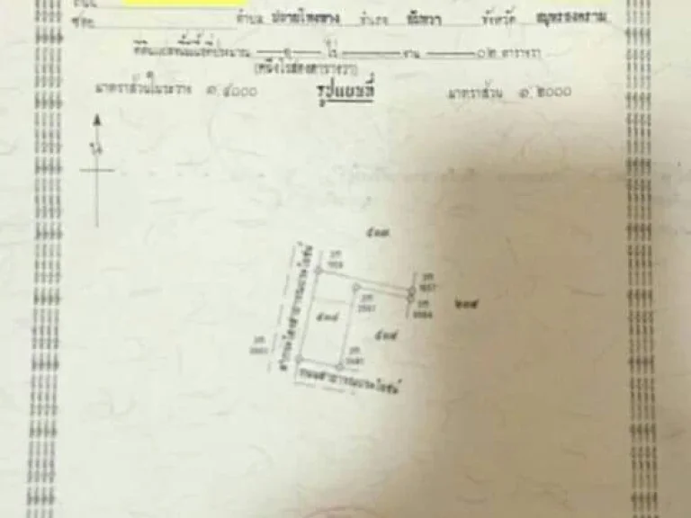 ที่ดิน 1ไร่2 วา ติดคลอง-ถนนลาดยาง ออัมพวา ตปลายโพงพาง ก่อนถึงวัดประชาโฆสิตาราม ที่ดินเป็นชุมชน เหมาะปลูกบ้าน บรรยากาศสวยๆ