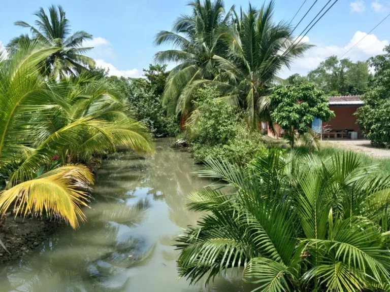 ที่ดิน212ตรว พร้อมบ้านริมคลองสวย อยู่บ้านปรก อเมือง สมุทรสงคราม บ้านริมคลองบรรยากาศดีๆ มี3ห้องนอน 2ห้องน้ำ