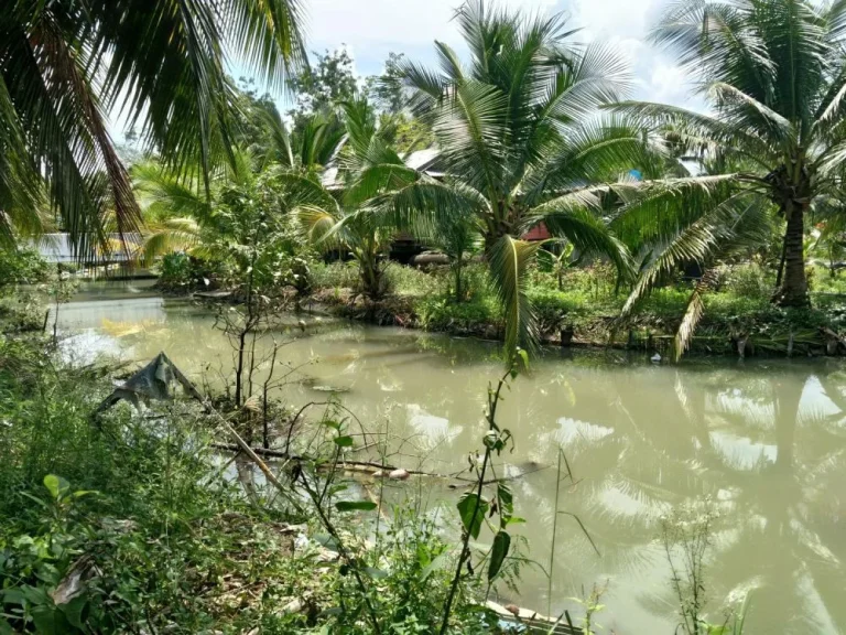 ที่ดิน212ตรว พร้อมบ้านริมคลองสวย อยู่บ้านปรก อเมือง สมุทรสงคราม บ้านริมคลองบรรยากาศดีๆ มี3ห้องนอน 2ห้องน้ำ