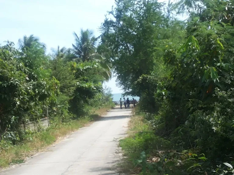 ขาย เช่า ที่ดินชายหาดใกล้ทับสะแก ถมสูงเรียบร้อยแล้ว เหมาะทำห้องเช่าหรือบ้านพักตากอากาศ