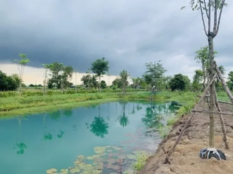 ขายที่ดิน คลอง 12 หนองเสือ ขนาด 3ไร่ พร้อมถม พร้อมขุดบ่อ บรรยากาศดีมาก เหมาะสร้างบ้าน ทำการเกษตร