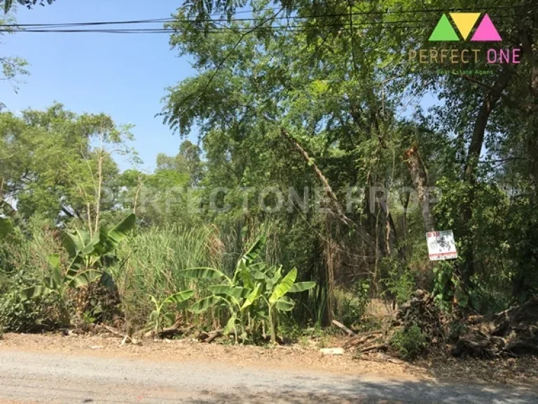 ที่ดิน100 ตรว ซอยร่วมสุขสรงประภา-ติวานนท์