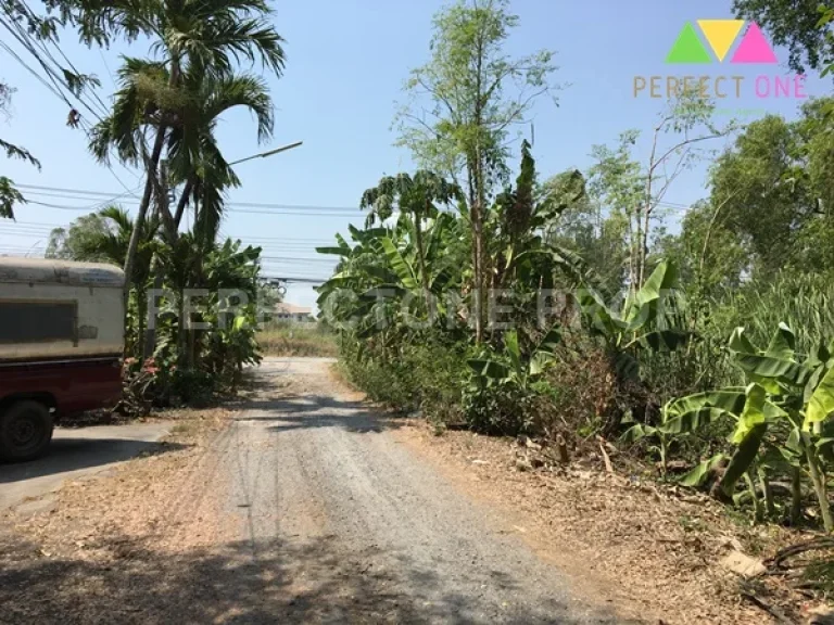 ที่ดิน100 ตรว ซอยร่วมสุขสรงประภา-ติวานนท์