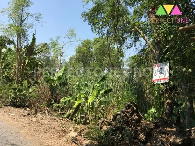 ที่ดิน100 ตรว ซอยร่วมสุขสรงประภา-ติวานนท์