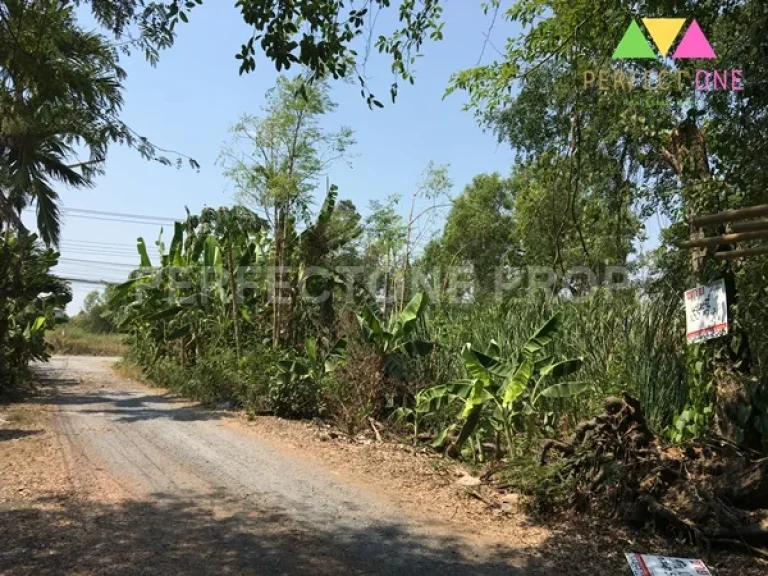 ที่ดิน100 ตรว ซอยร่วมสุขสรงประภา-ติวานนท์