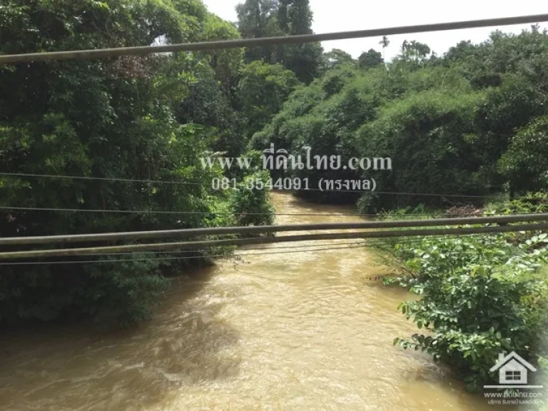 ขายสวนยางพารา-มะขาม นส3ก24ไร่ สปกกับภบท5 16ไร่ รวมทั้งหมด 40ไร่ ตปัถวี อมะขาม จจันทบุรี รหัส L290