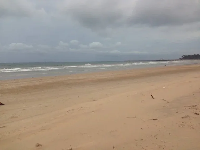 ขายที่ดินแบ่งแปลงขายได้ ติดหาดสะพลี ชุมพร ใกล้หาดทุ่งวัวแล่น เนื้อที่ 264 ตรวา มี 2 แปลง