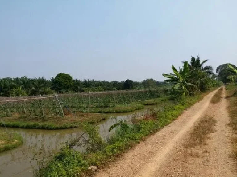 ขายที่ดิน คลอง 12 หนองเสือ 6 ไร่ ราคาถูก เหมาะทำสวน ขายใกล้ราคาประเมิน