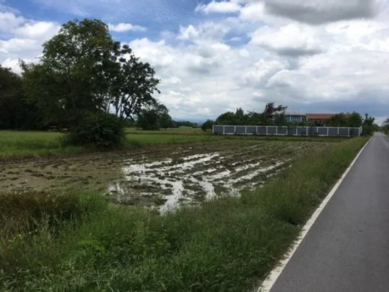 ขายด่วน ที่ดินสวย เนื้อที่ 5 ไร่ ขายยกแปลง ย่านจังหวัดสระบุรี