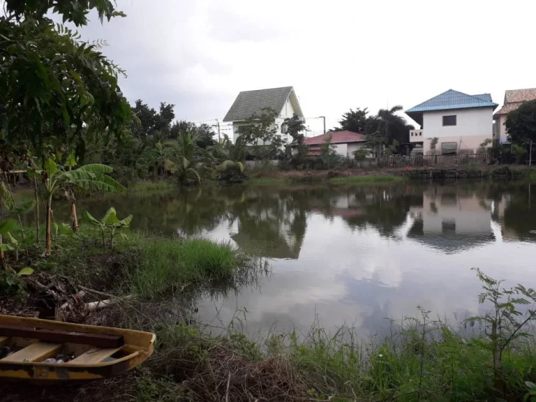 ขายด่วนมาก ราคาถูก บ้าน 3 งาน ในซอยวัดลาดปลาดุกใกล้เซ็นทรัลเวสต์เกต