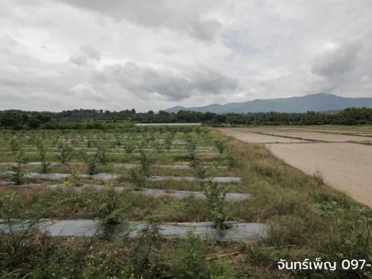 ที่ดิน ทางหลวง 1001 แม่ปั๋ง เชียงใหม่