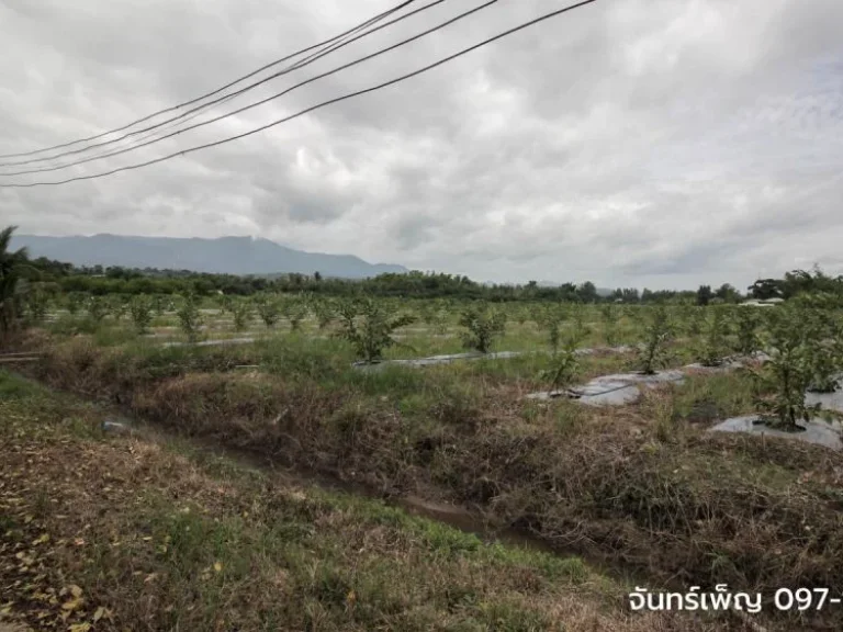 ที่ดิน ทางหลวง 1001 แม่ปั๋ง เชียงใหม่