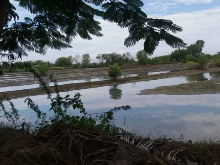 ขายที่ดินเลียบคลองขุนราชพินิจใจ ฝั่งบน เทียนทะเล บางขุนเทียน1057 ไร่