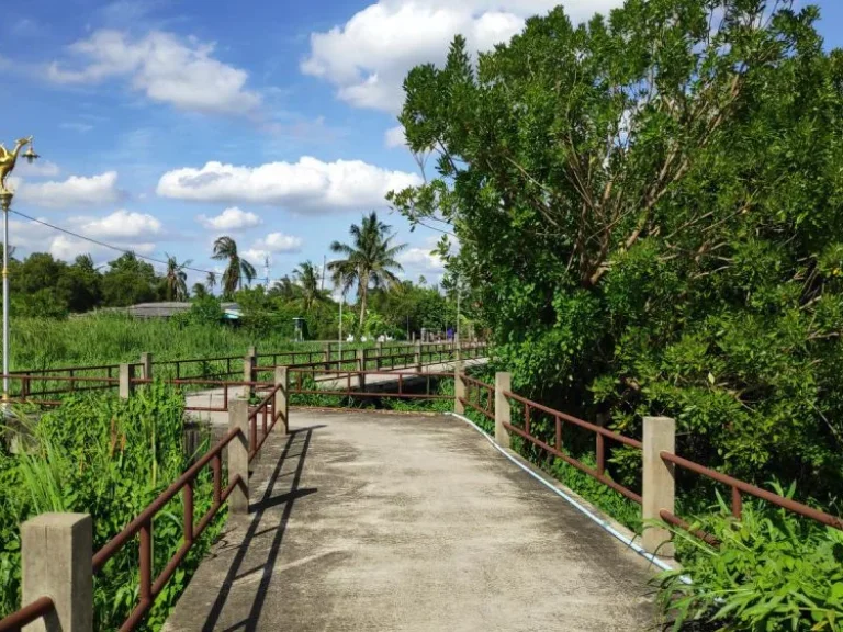 ขายที่ดินเกาะเกร็ด ติดแม่น้ำเจ้าพระยา ขนาด 729 ตรว ริมน้ำเจ้าพระยา